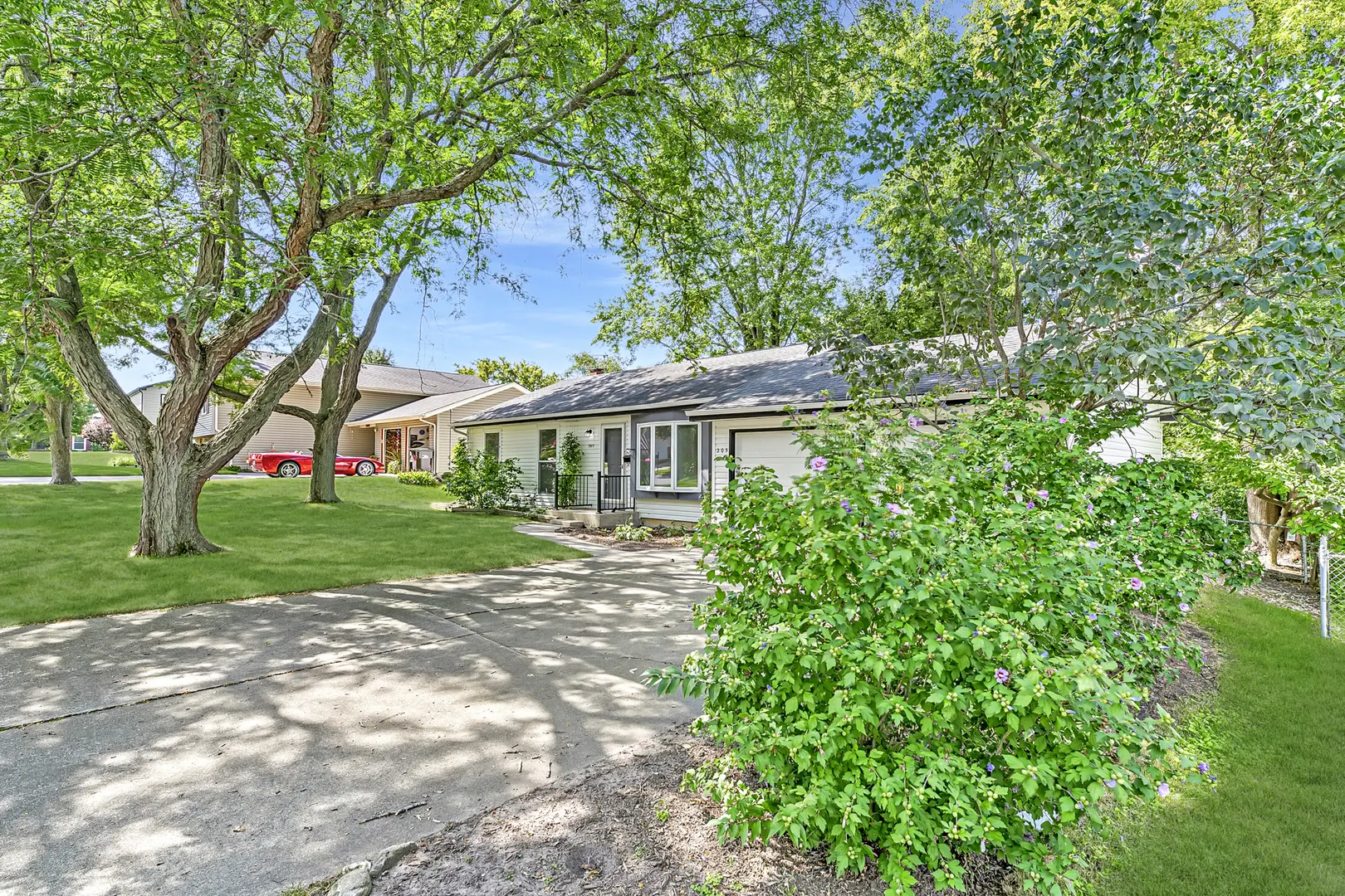 205 Augusta Drive IL