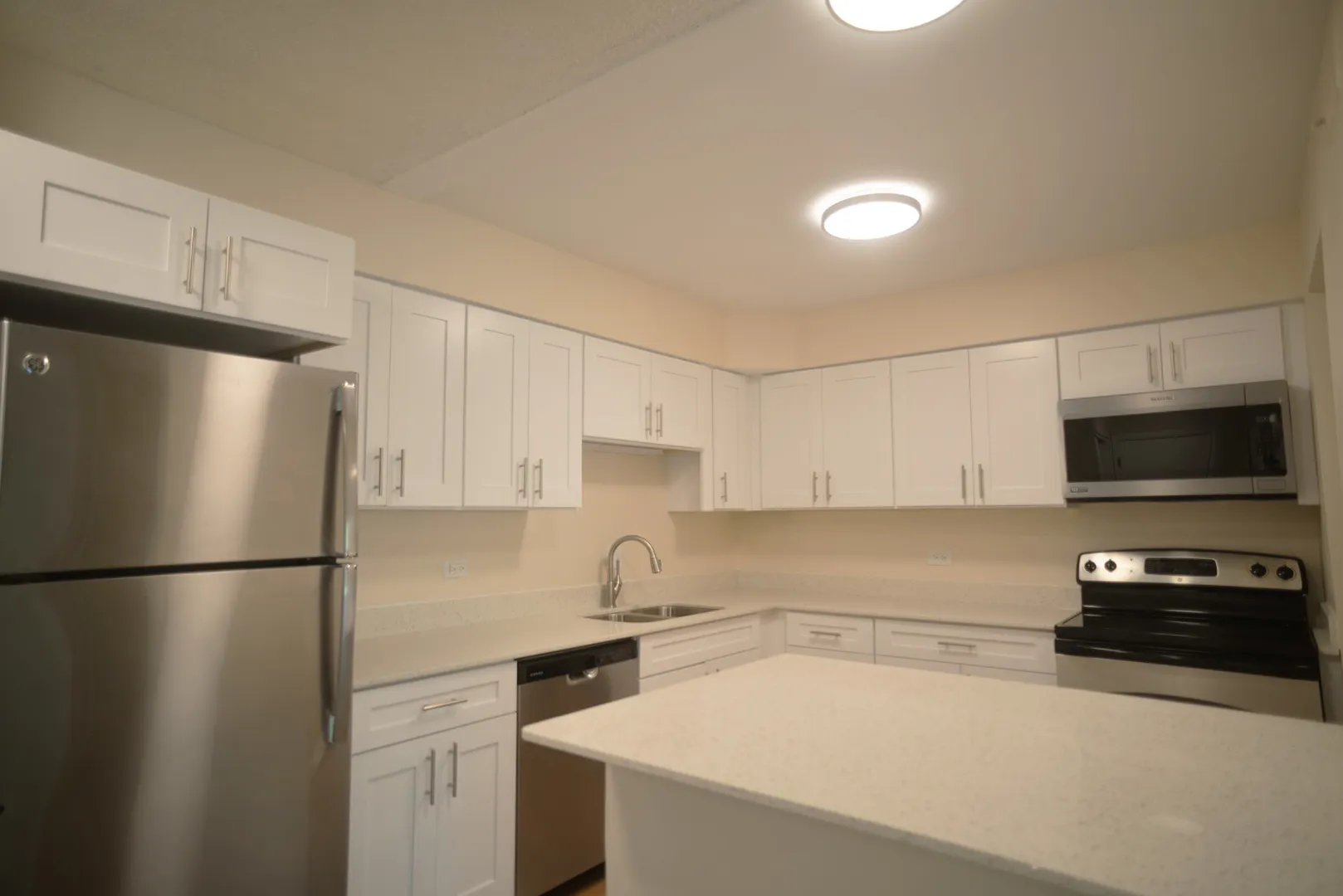 1205 Pleasant Run Drive 210 IL