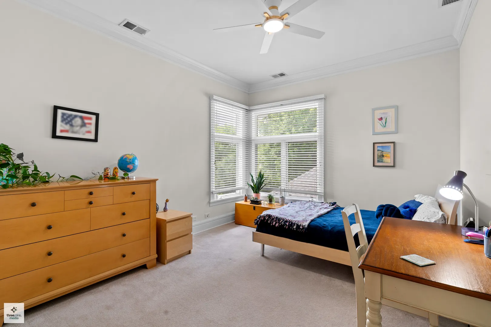 1133 Manor Drive IL