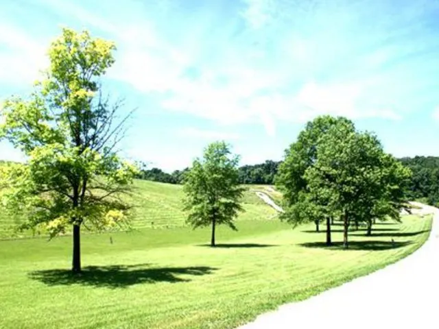 Lot 434 Lake Wildwood Drive IL