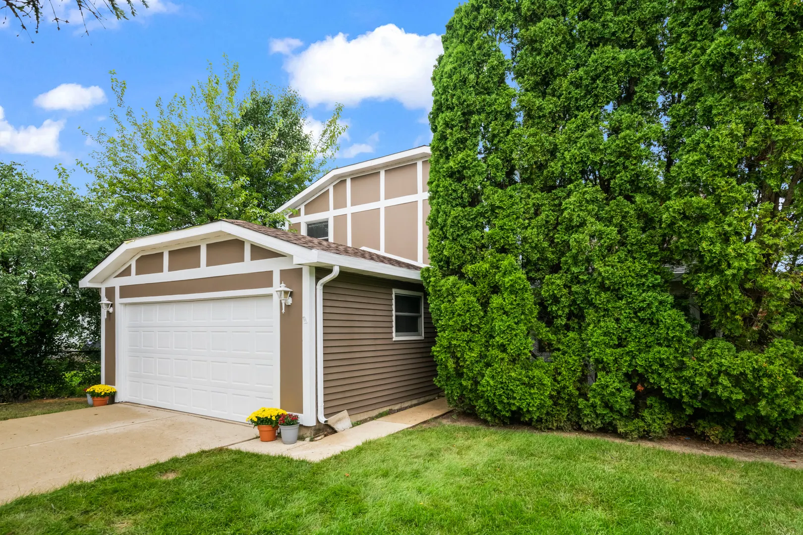 6 Wild Rose Court IL