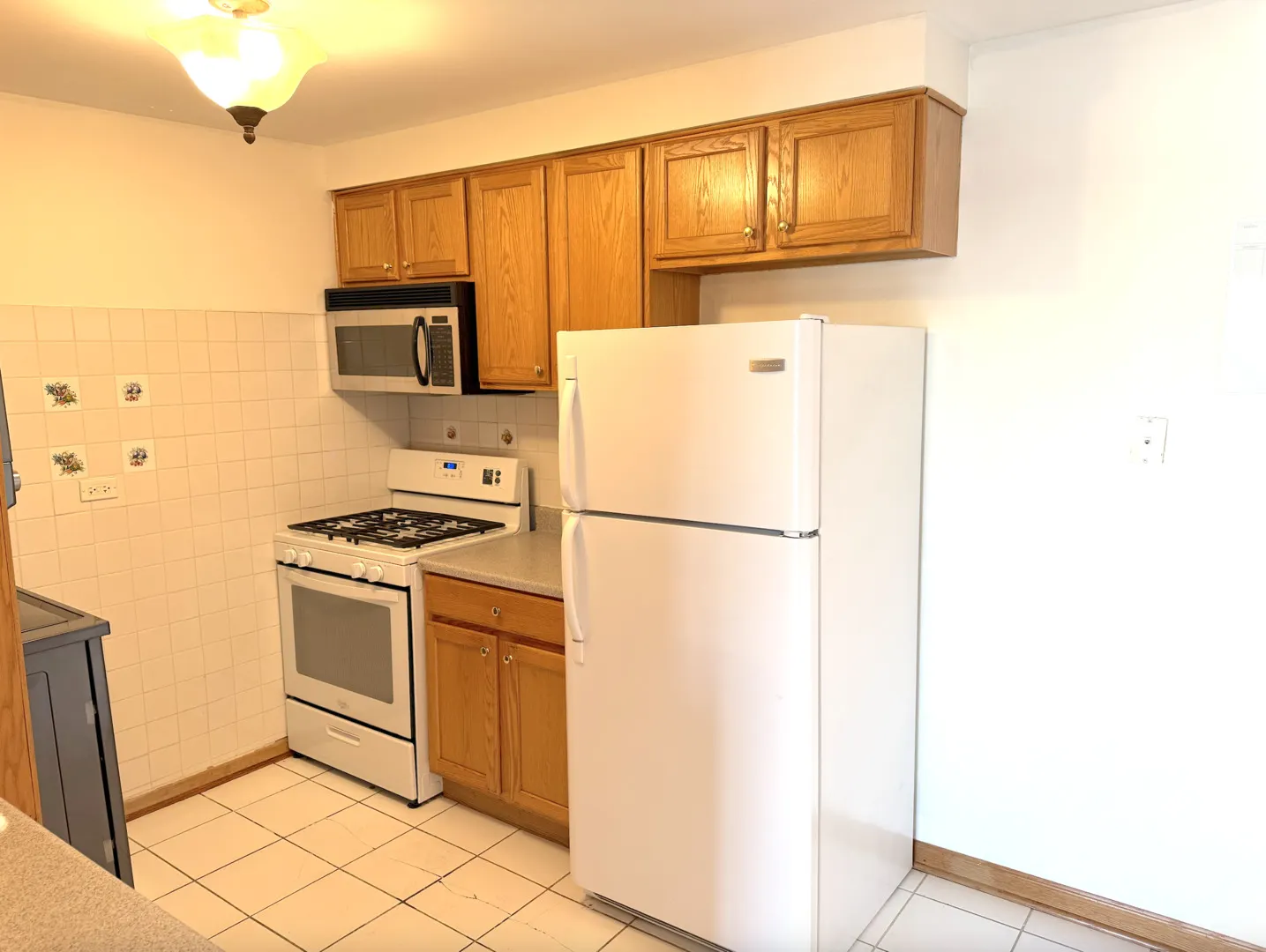 9407 S Roberts Road 3SE IL