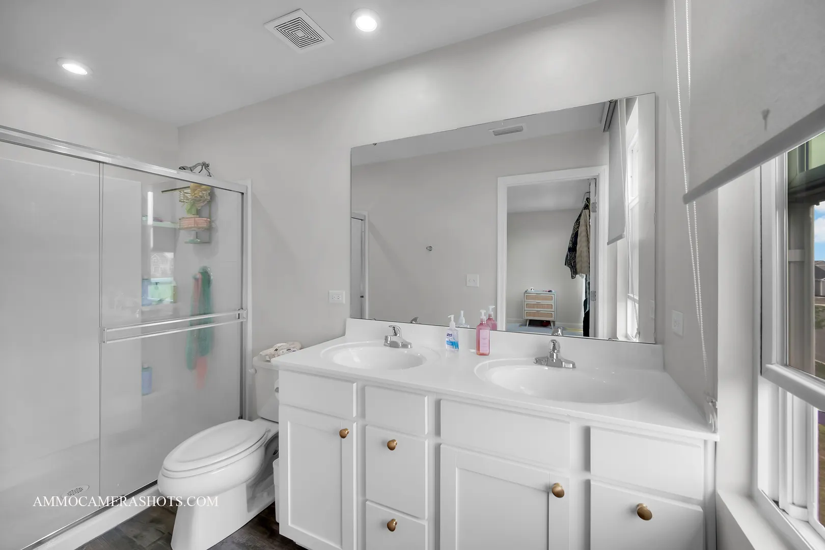 531 Larkspur Lane IL
