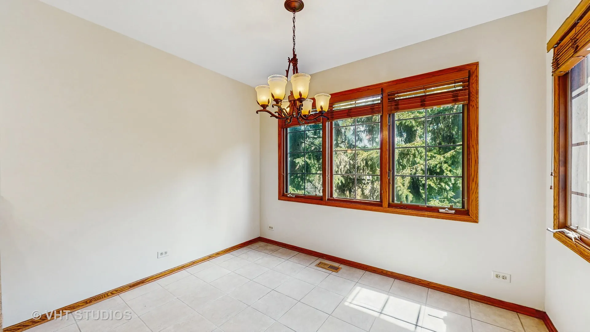 542 Silver Aspen Circle IL