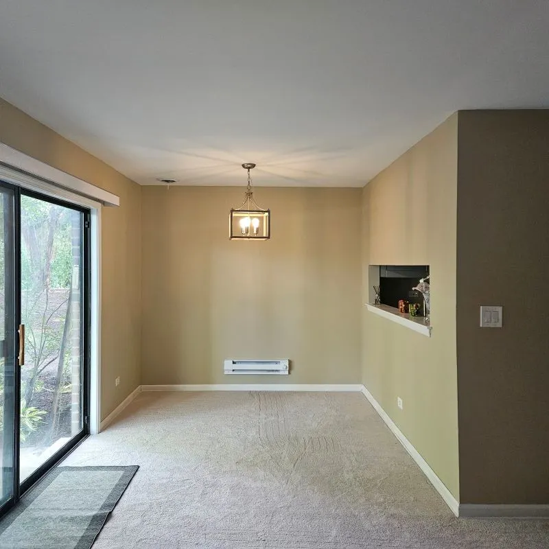 260 E Court Of Shorewood 2 IL