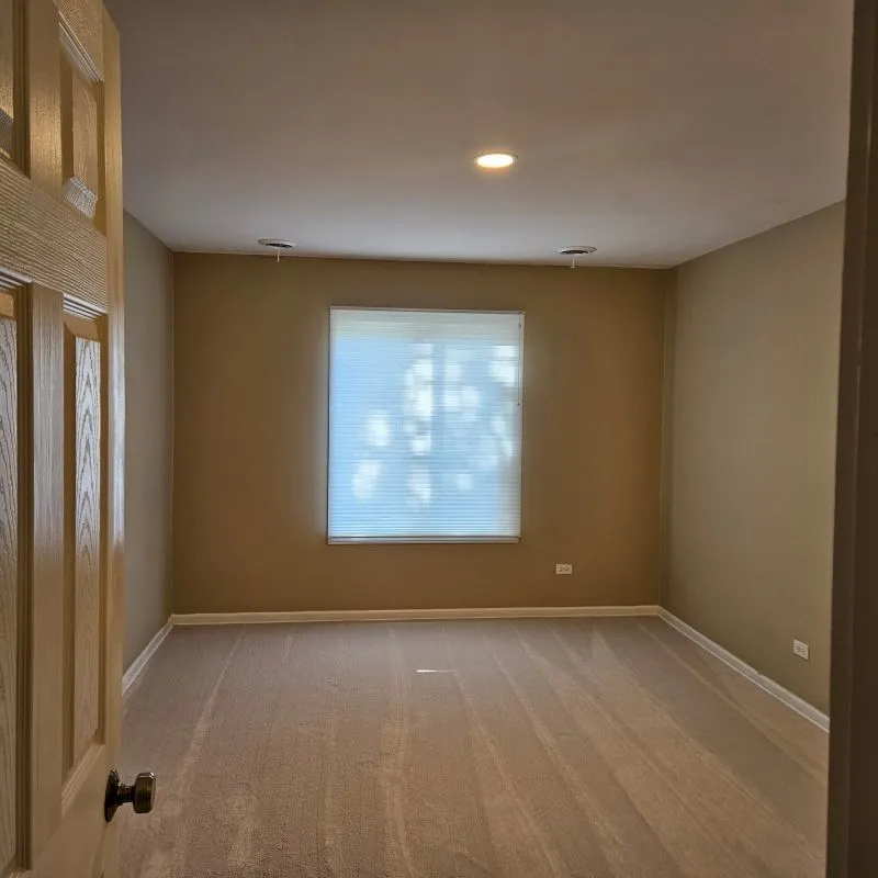260 E Court Of Shorewood 2 IL