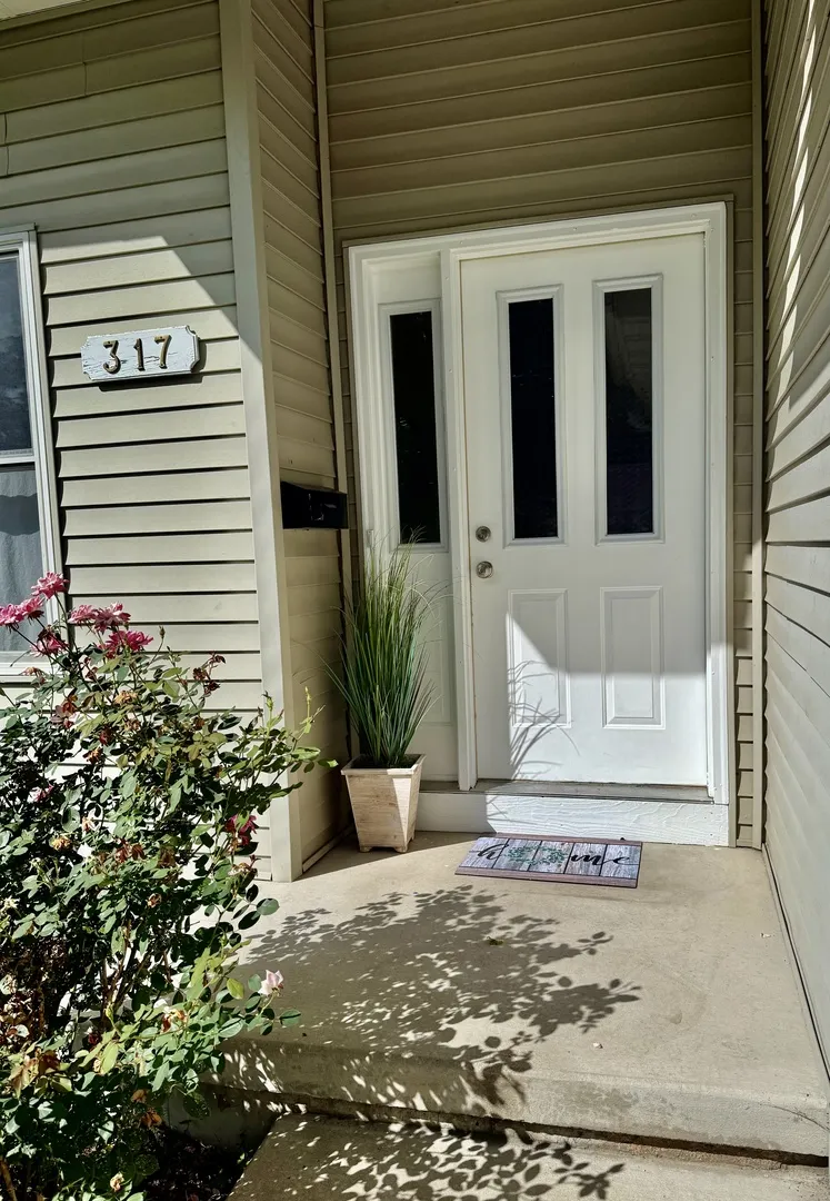 317 Plymouth Court IL