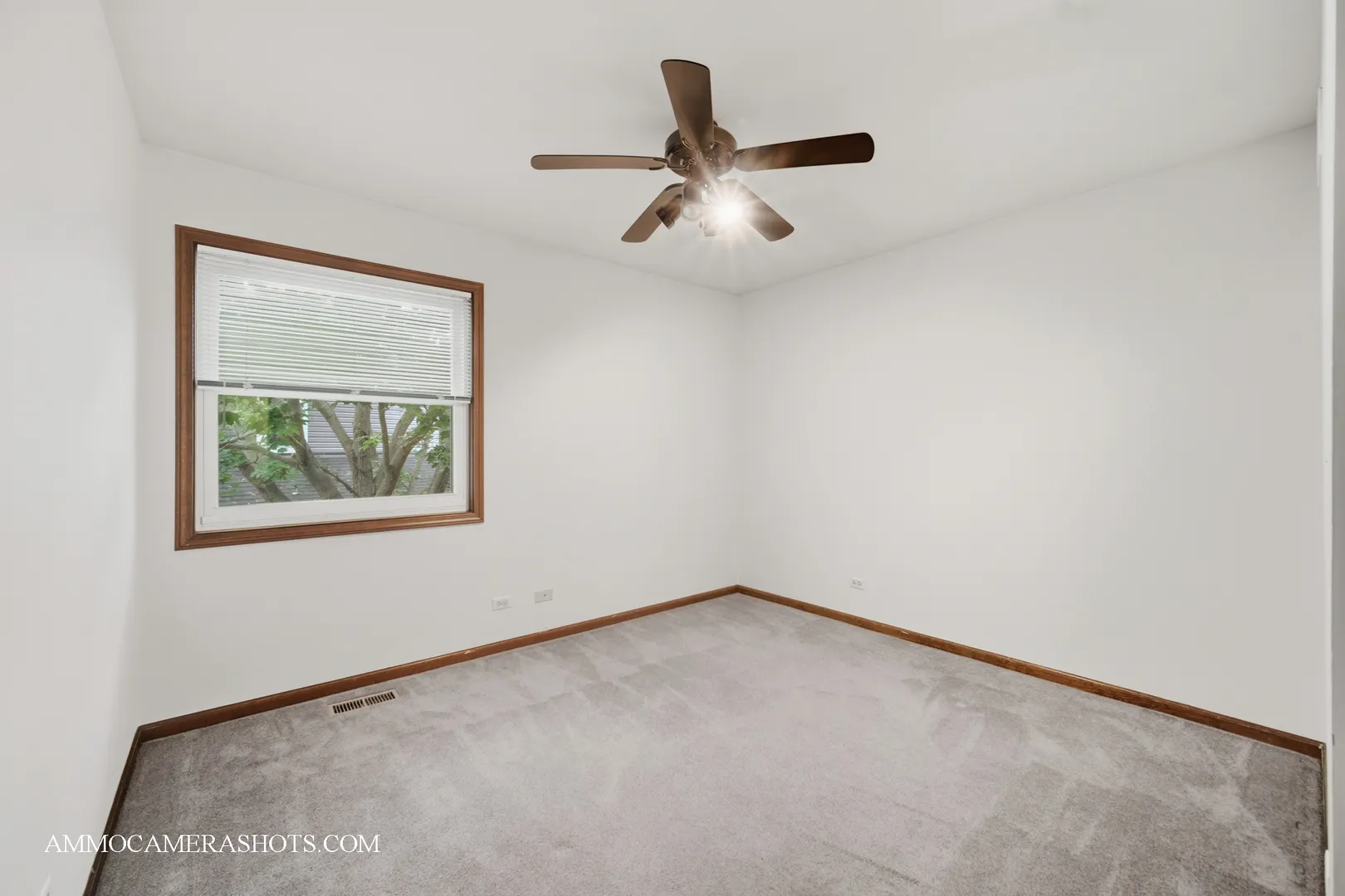 12 Aberdeen Court IL