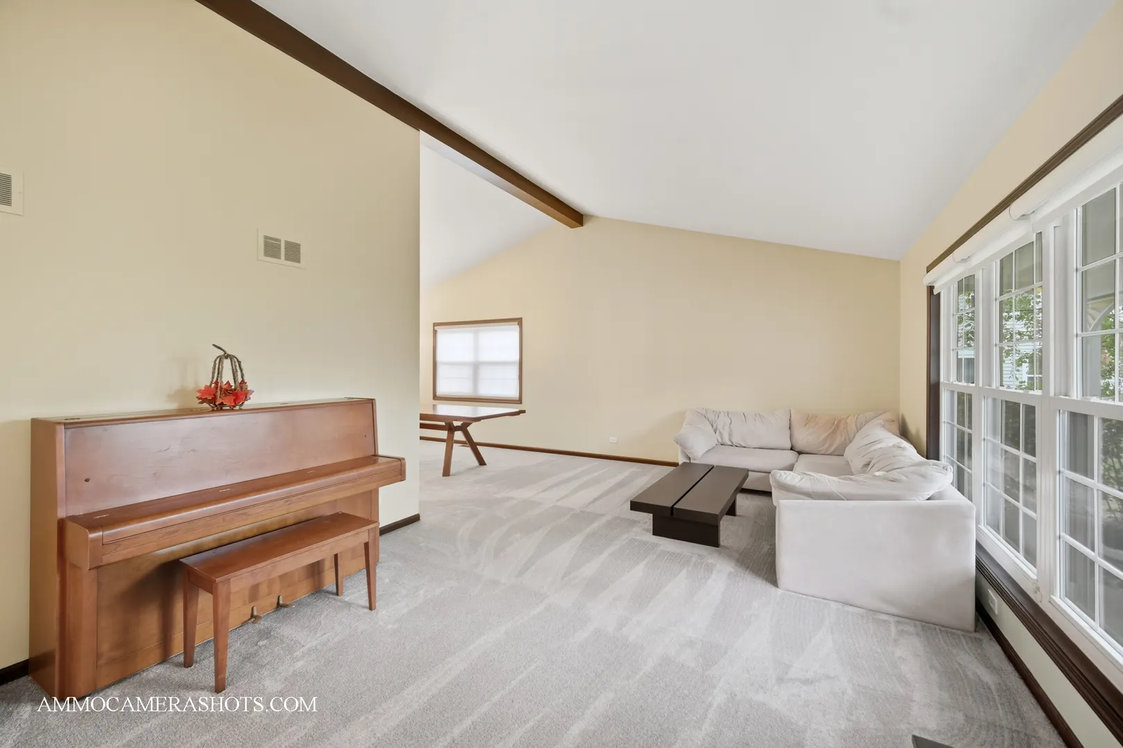 12 Aberdeen Court IL