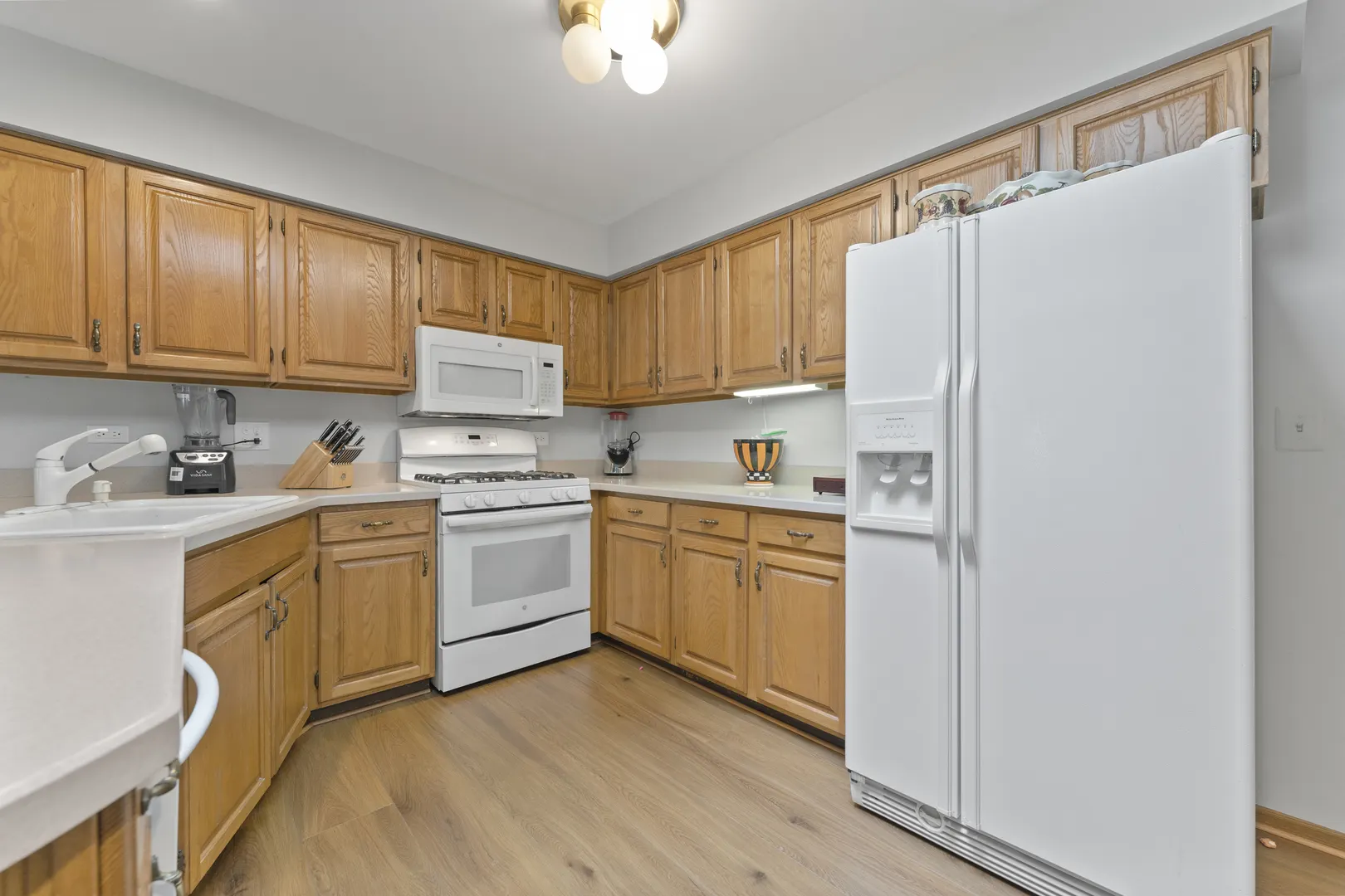 1202 Tracie Drive IL