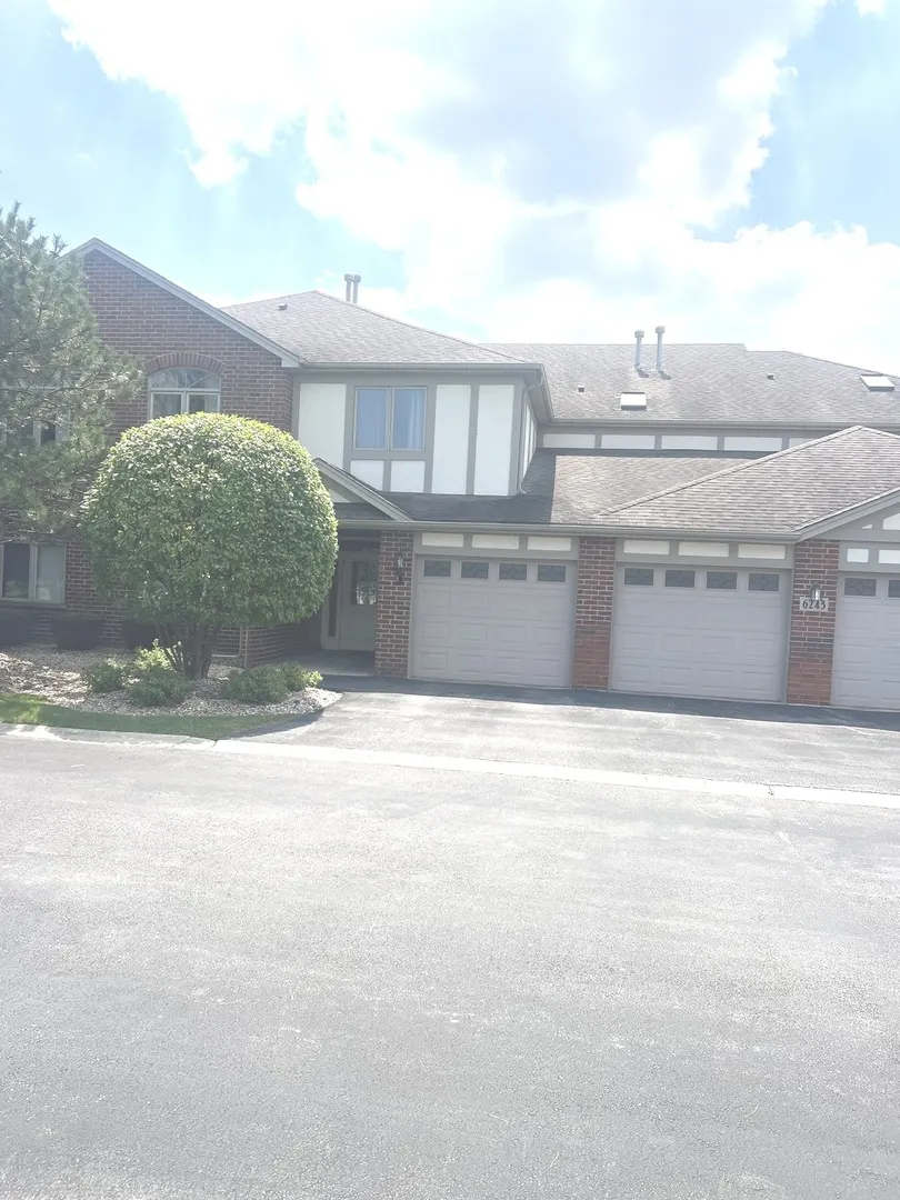 6243 Misty Pines Drive 1 IL
