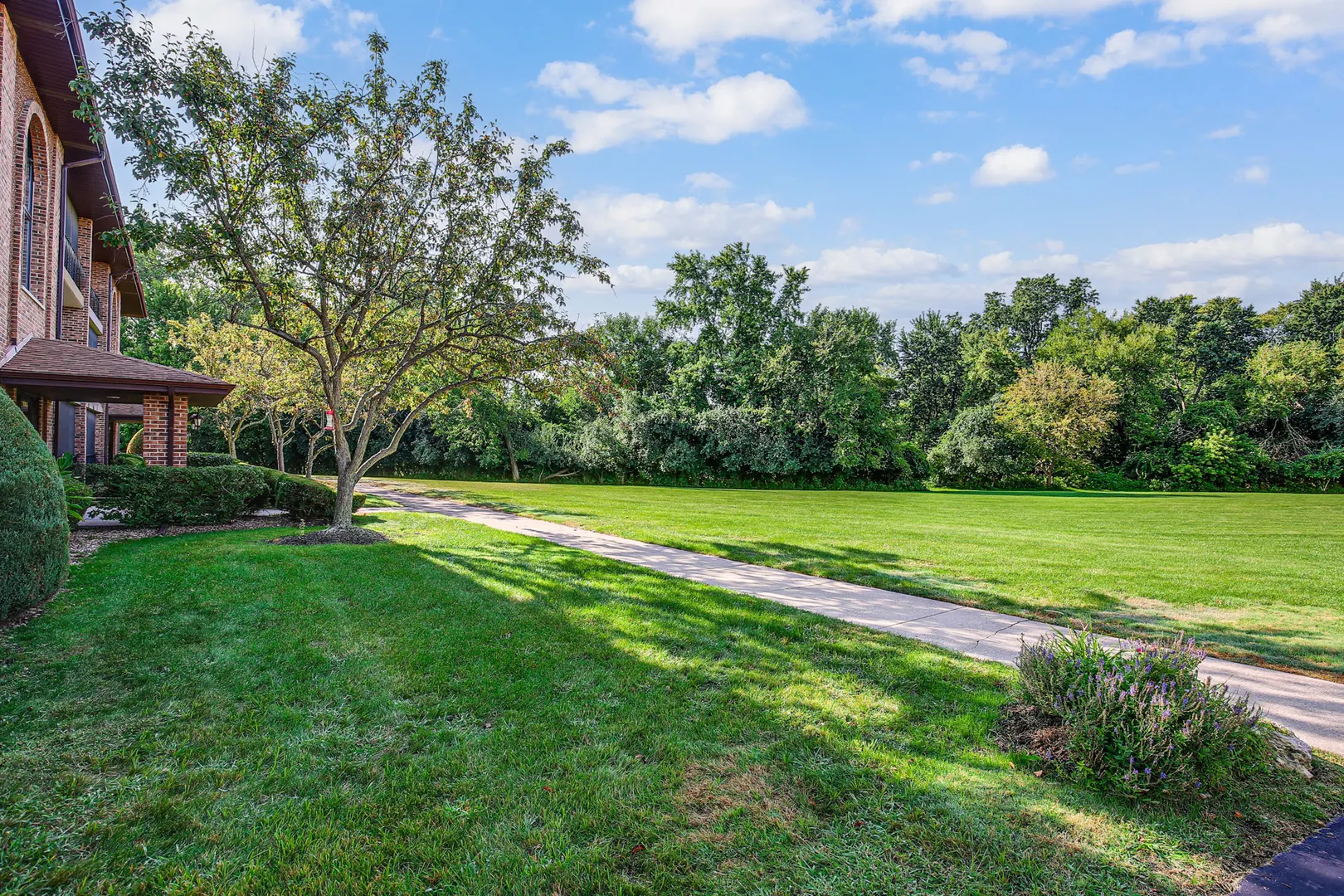 11117 S Heritage Drive 1D IL