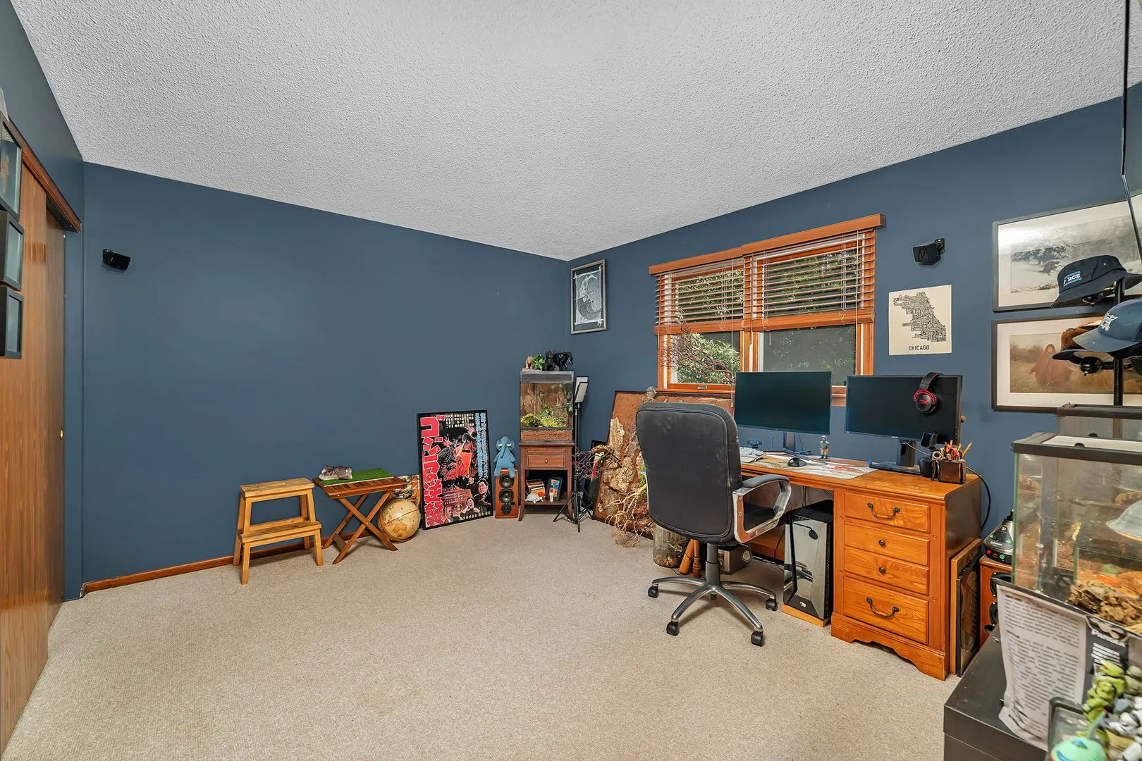 1007 Windsor Drive IL