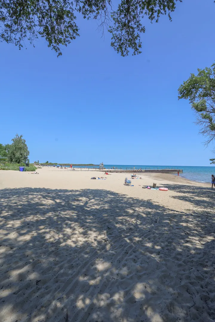 1041 W North Shore Avenue 3S IL