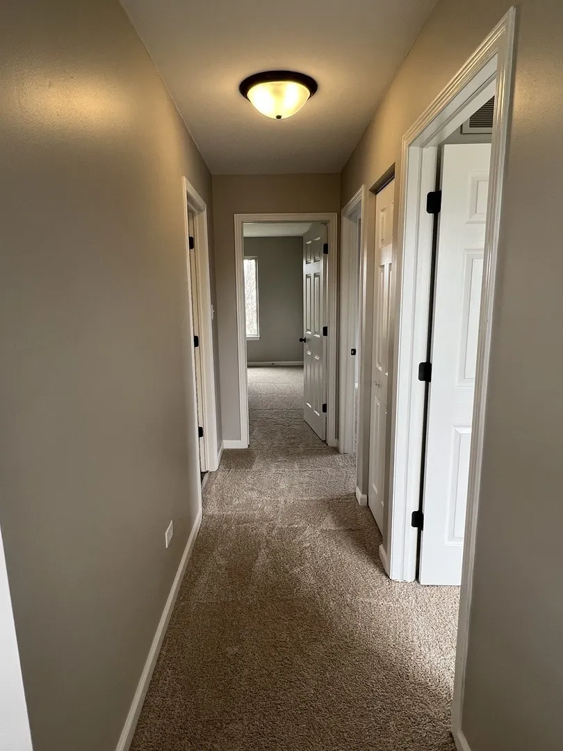 26518 W Deer Path IL