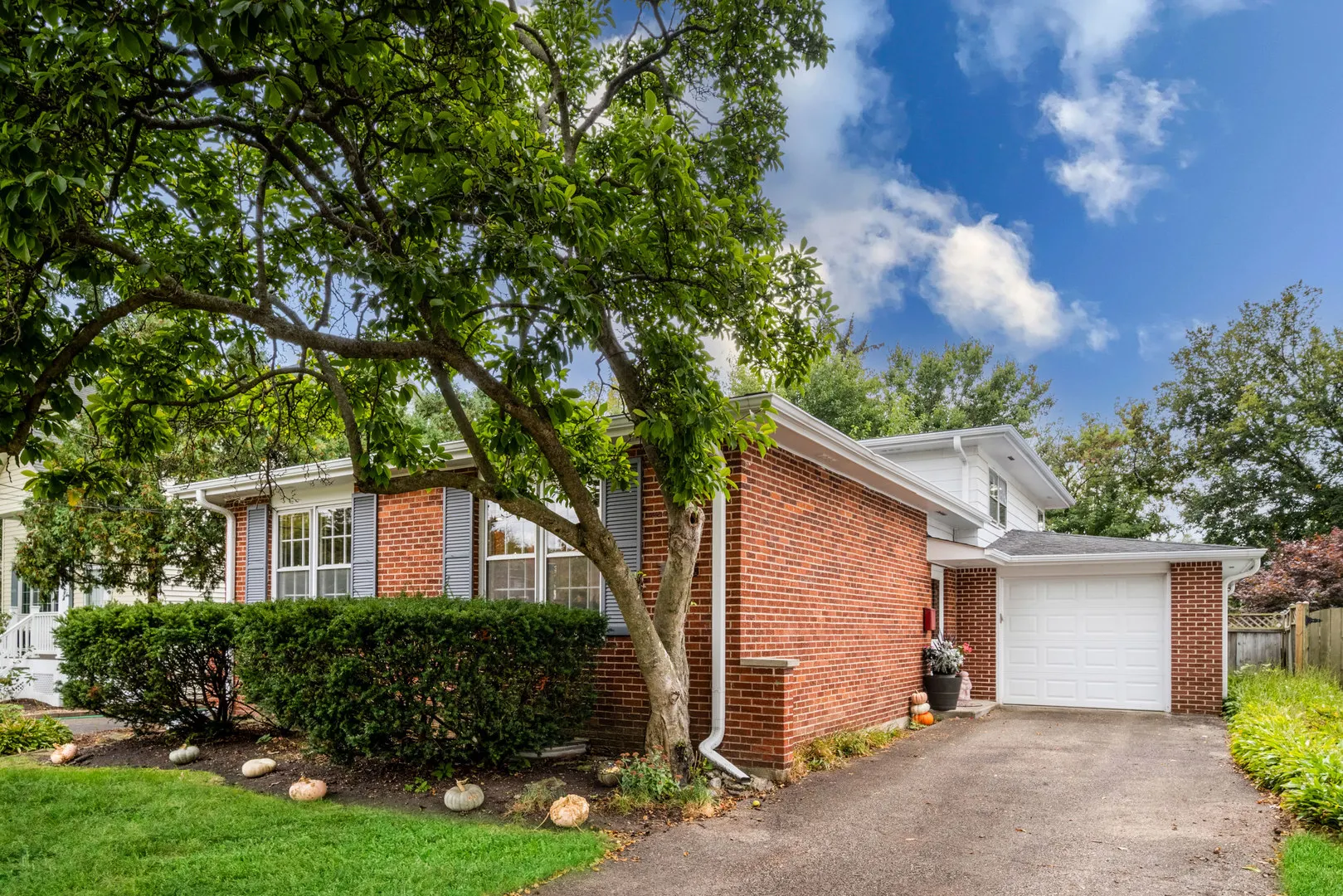 1823 Milton Avenue IL