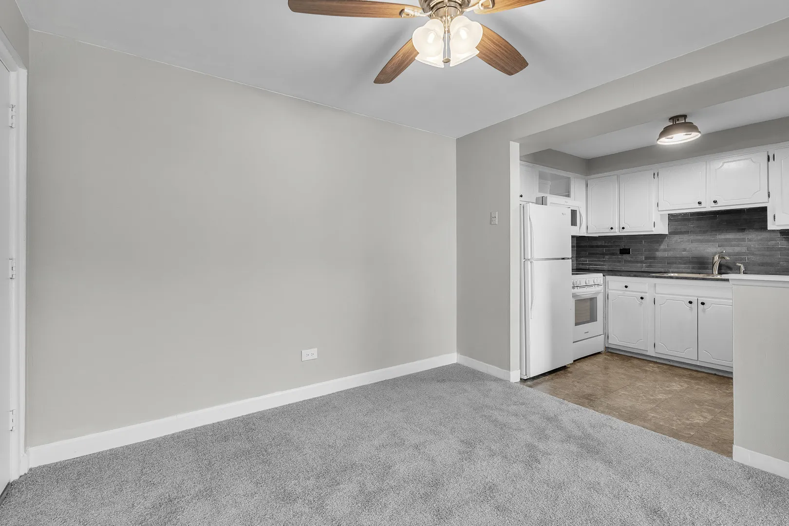 301 E PLAINFIELD Road 4 IL