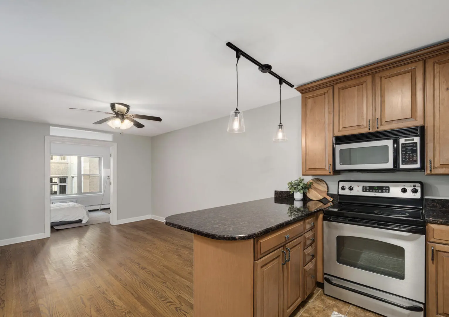 420 W Aldine Avenue 401 IL