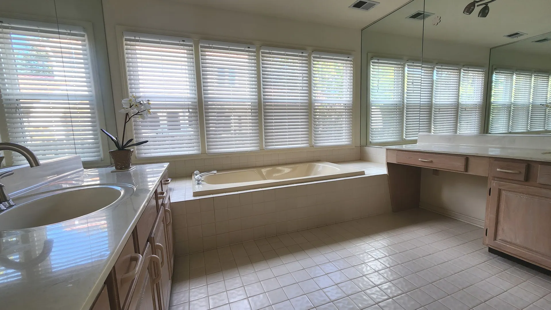 1254 Tracie Drive IL