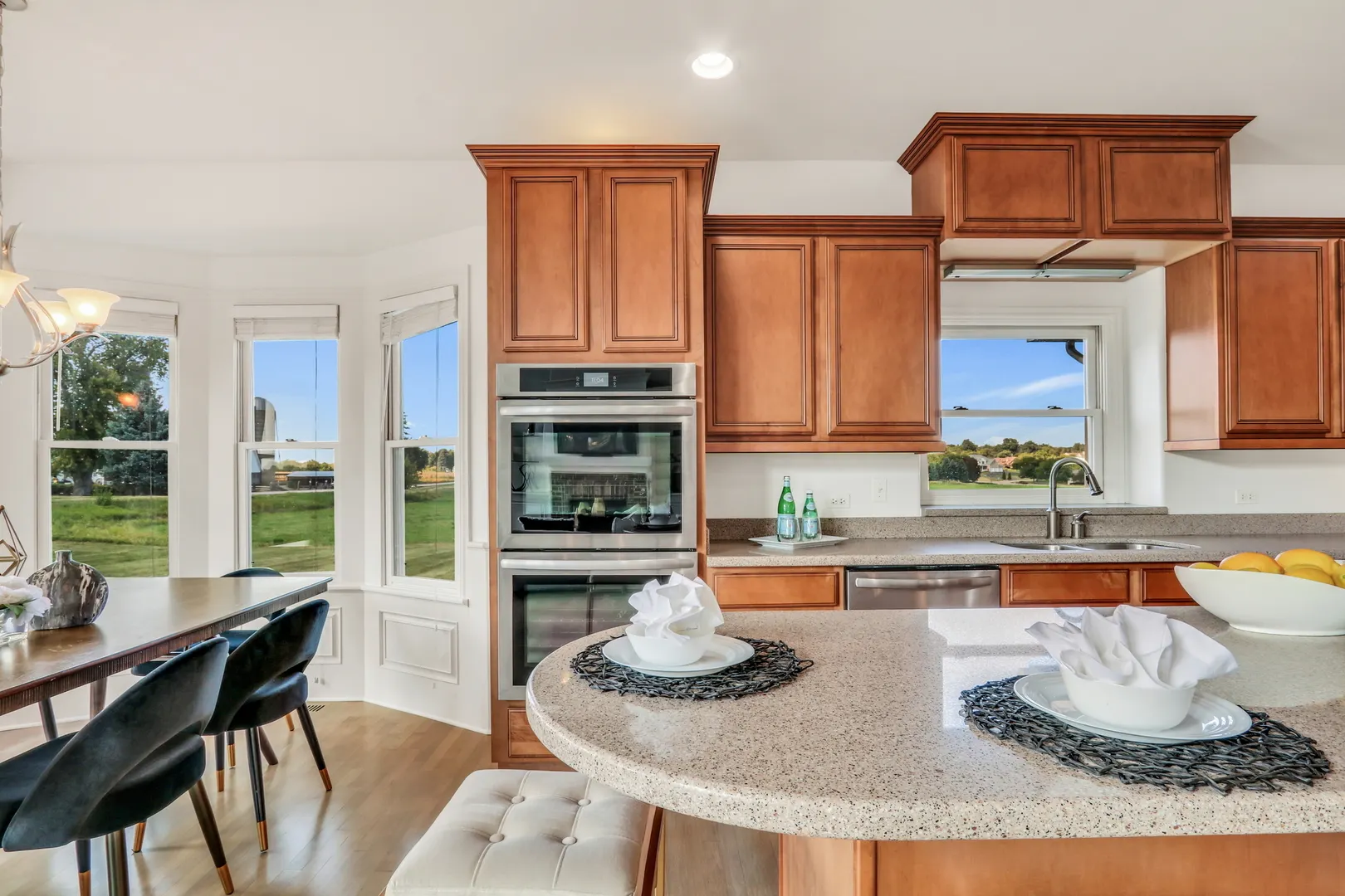 11105 Serenity Path IL