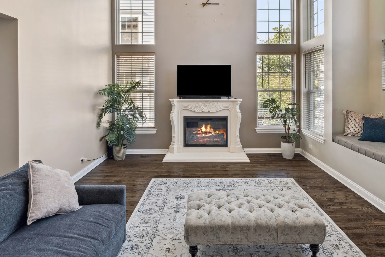 1619 Patriot Boulevard IL