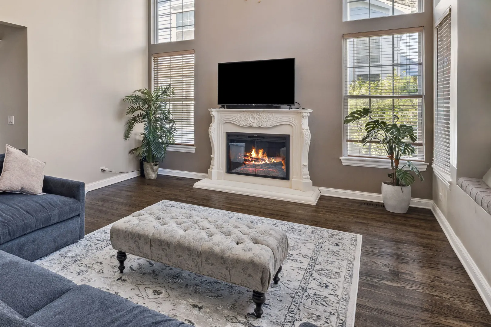 1619 Patriot Boulevard IL