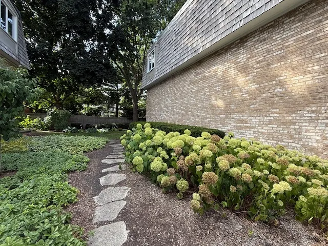 1924 Wilmette Avenue D IL