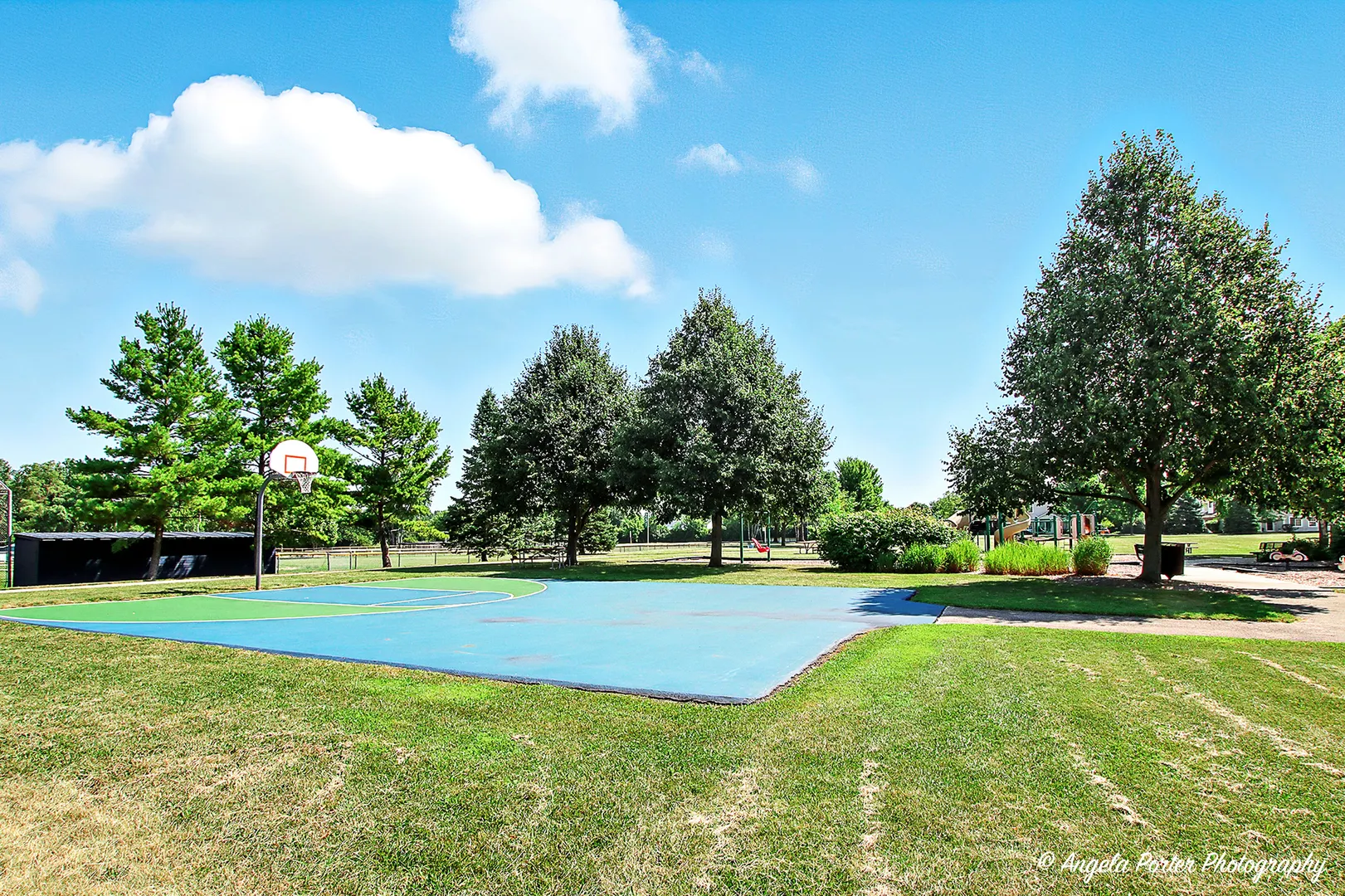 448 N Patriot Drive IL