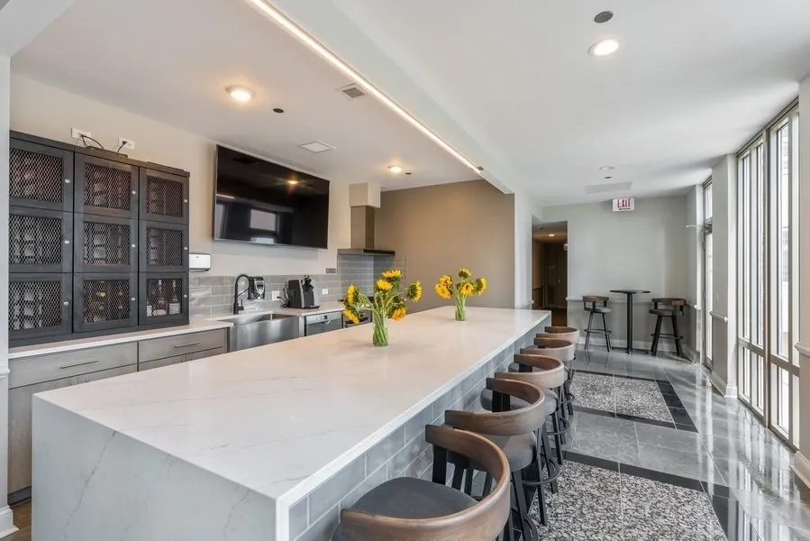 530 N LAKE SHORE Drive 1909 IL