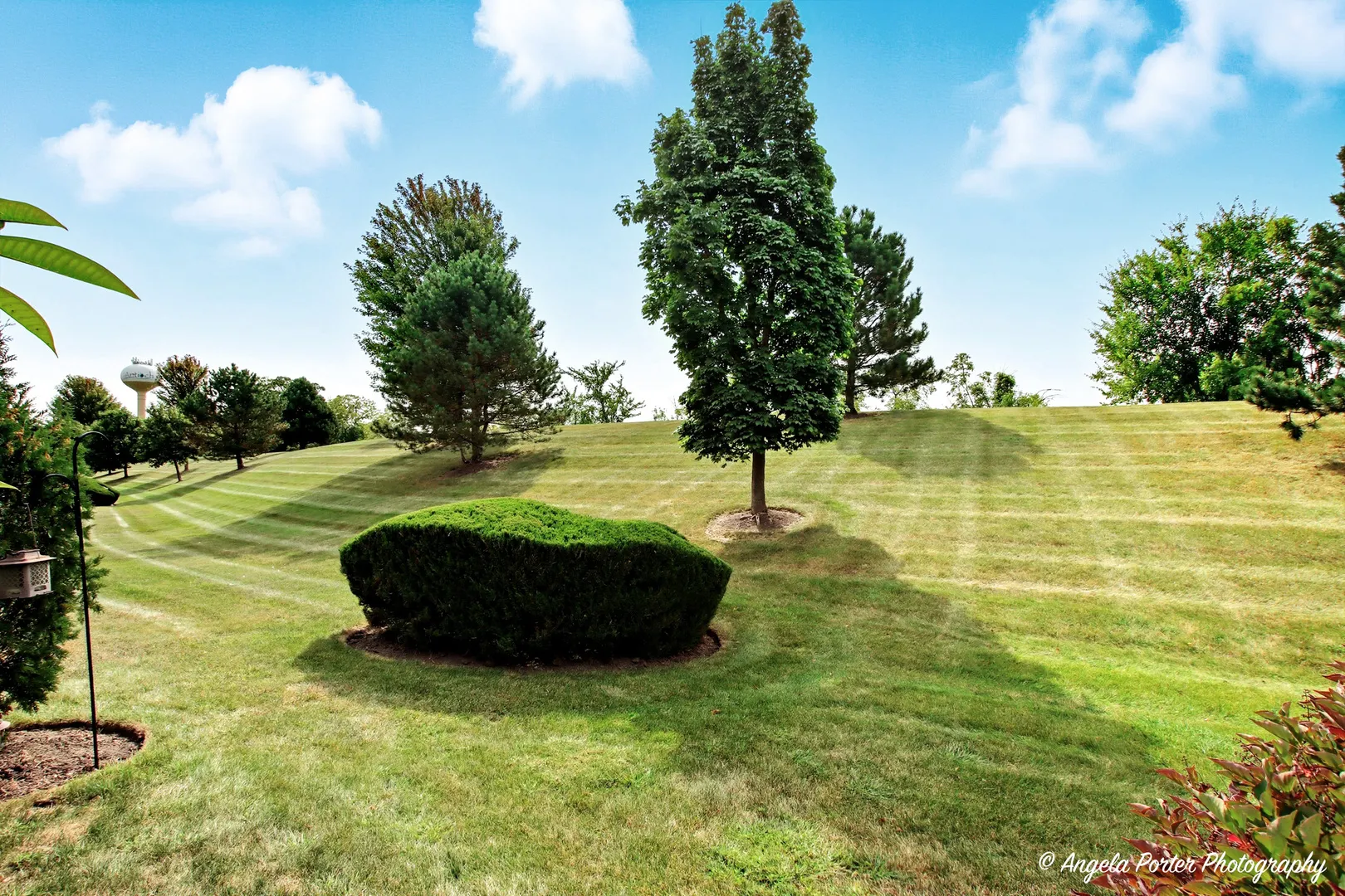 1020 Inverness Drive IL