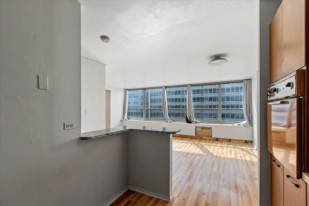 3550 N Lake Shore Drive 1925 IL