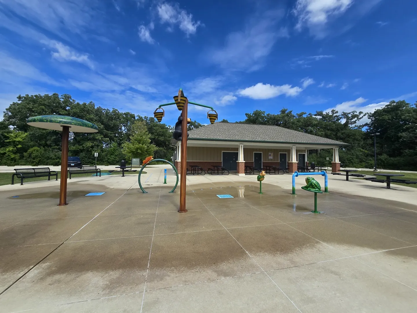 586 Harvard Court IL