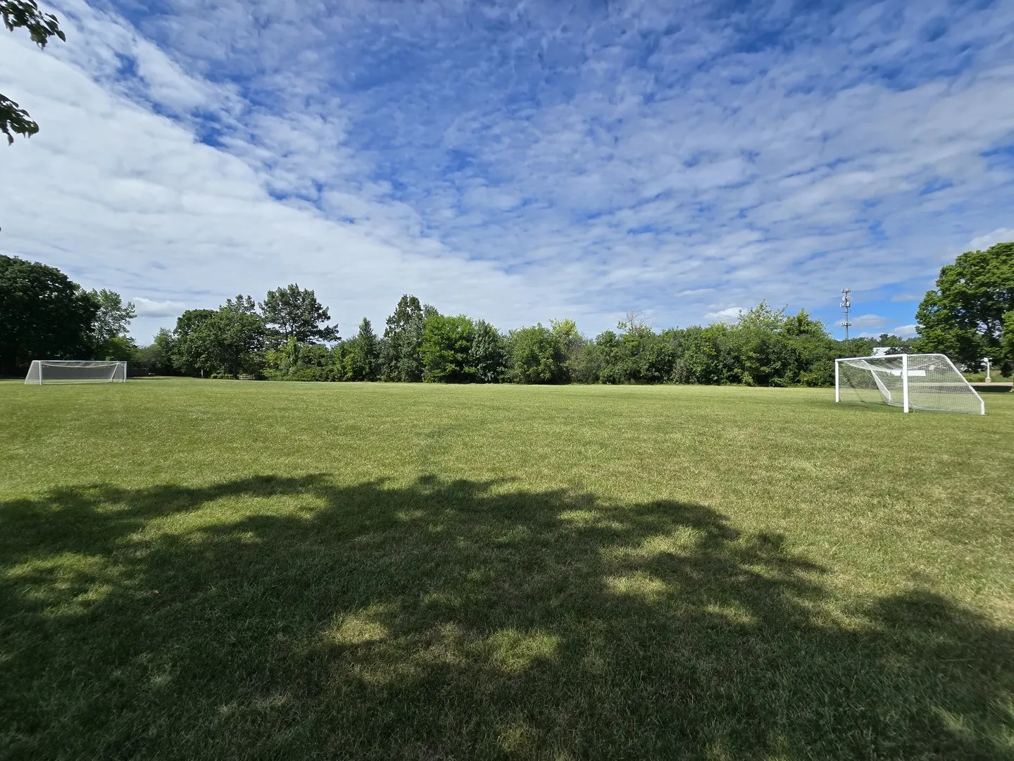 586 Harvard Court IL