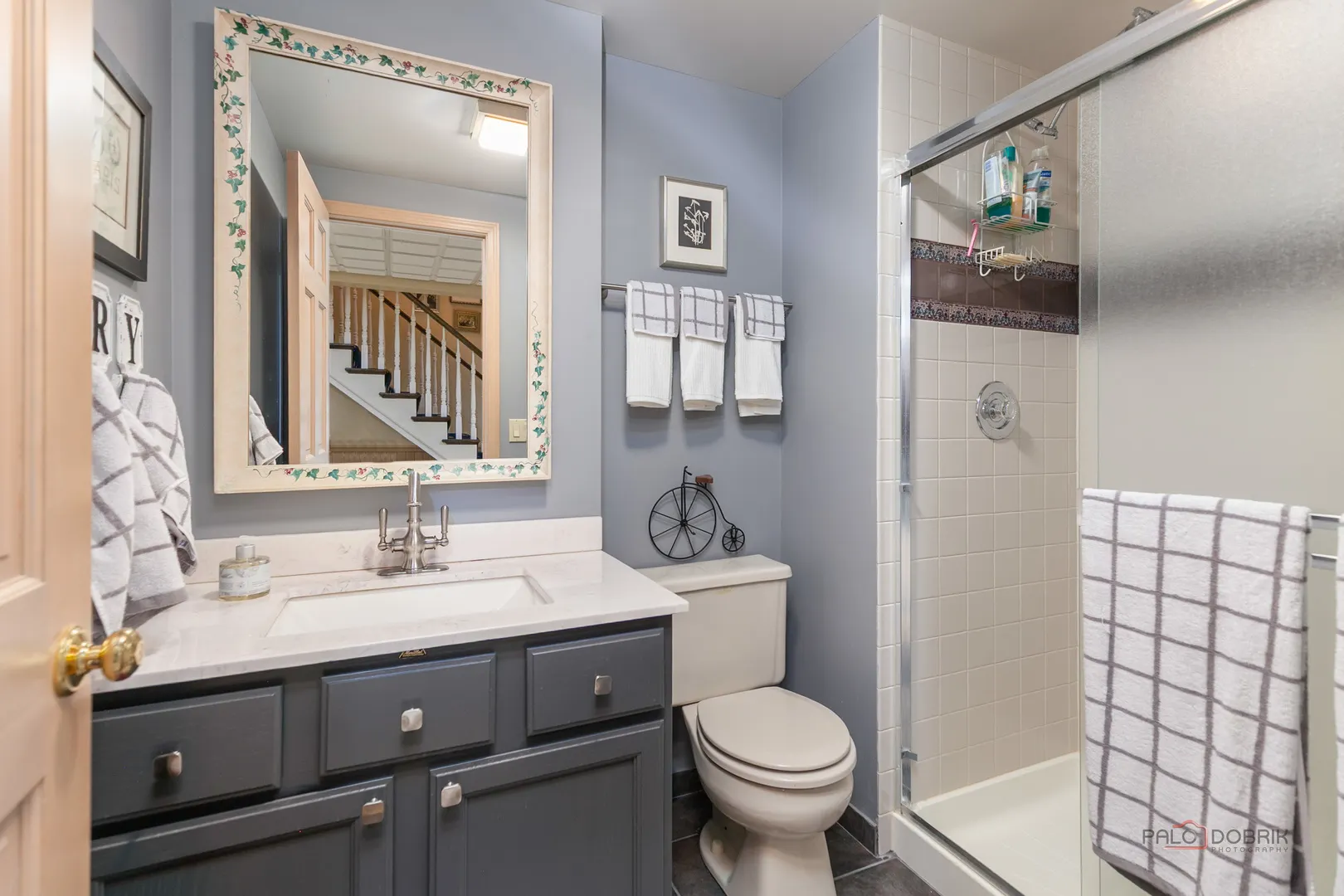 1321 Kimmer Court IL
