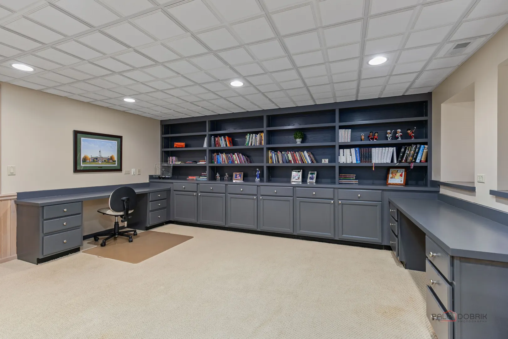 1321 Kimmer Court IL
