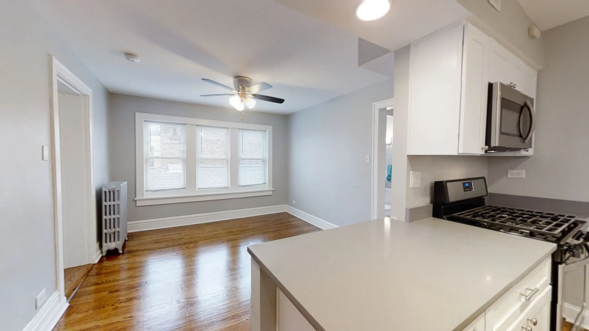 311 W Harrison Street 3W IL