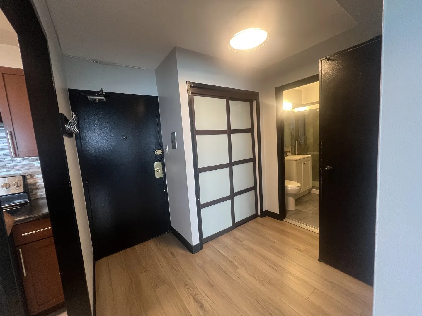 7337 S South Shore Drive 519 IL