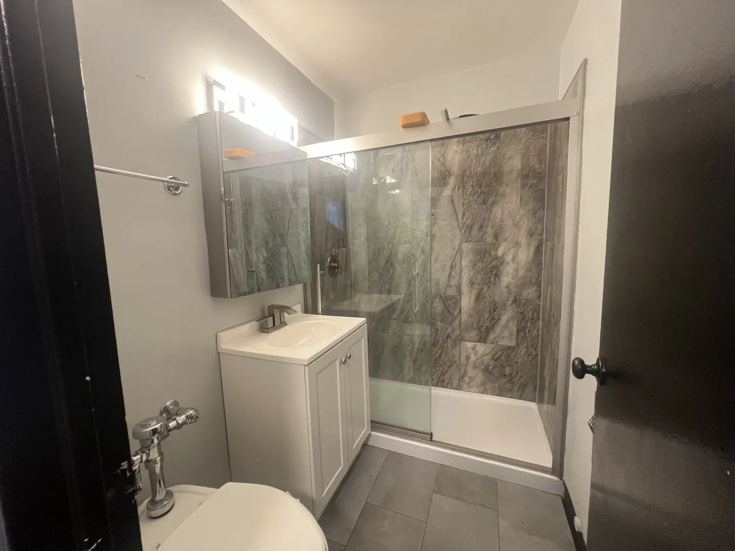 7337 S South Shore Drive 519 IL