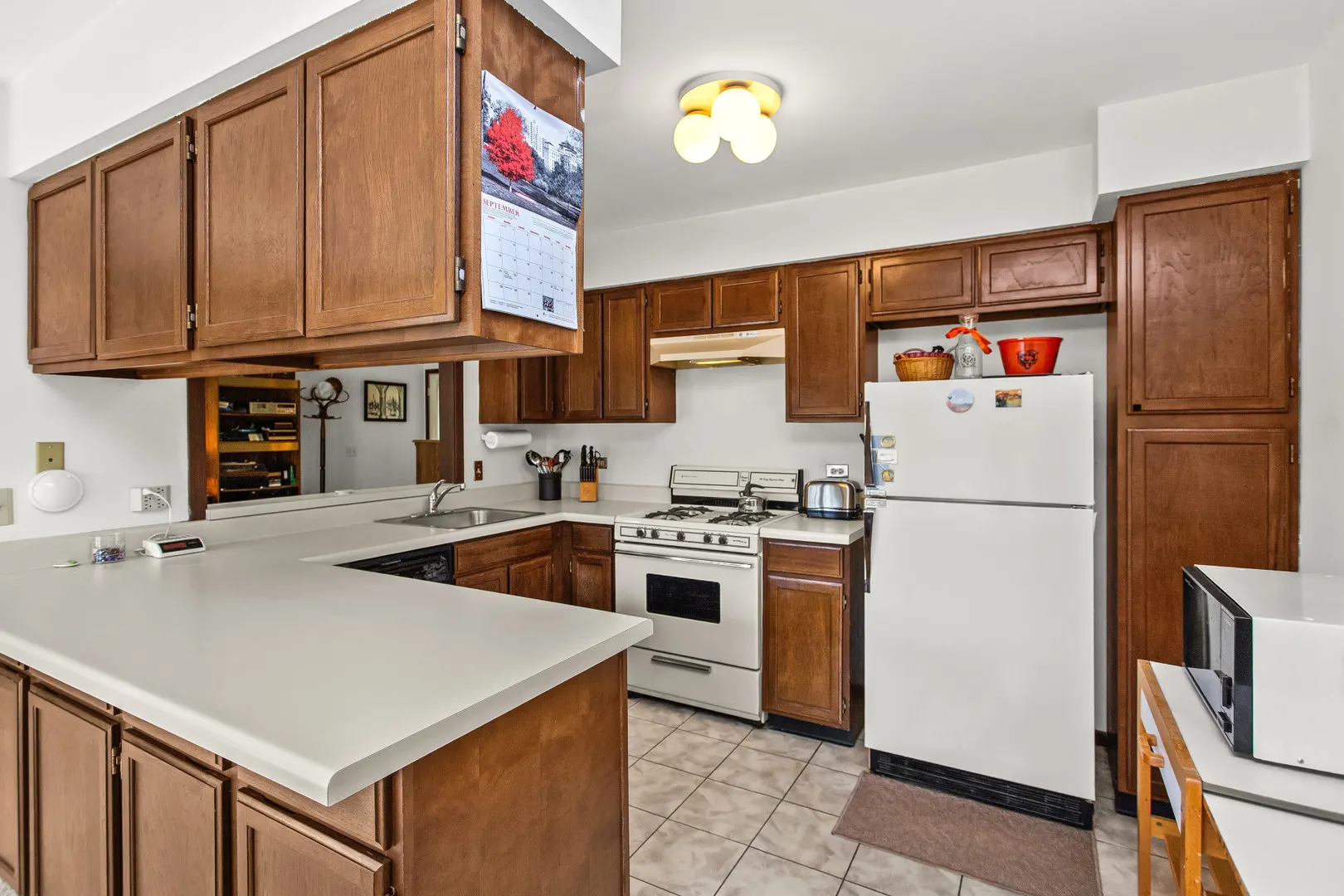 1771 Vermont Drive IL