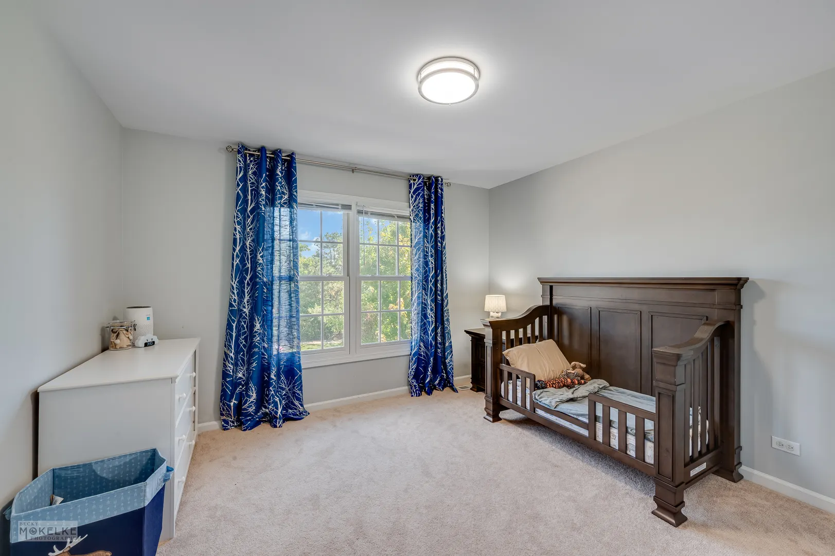 2670 Ginger Woods Drive IL