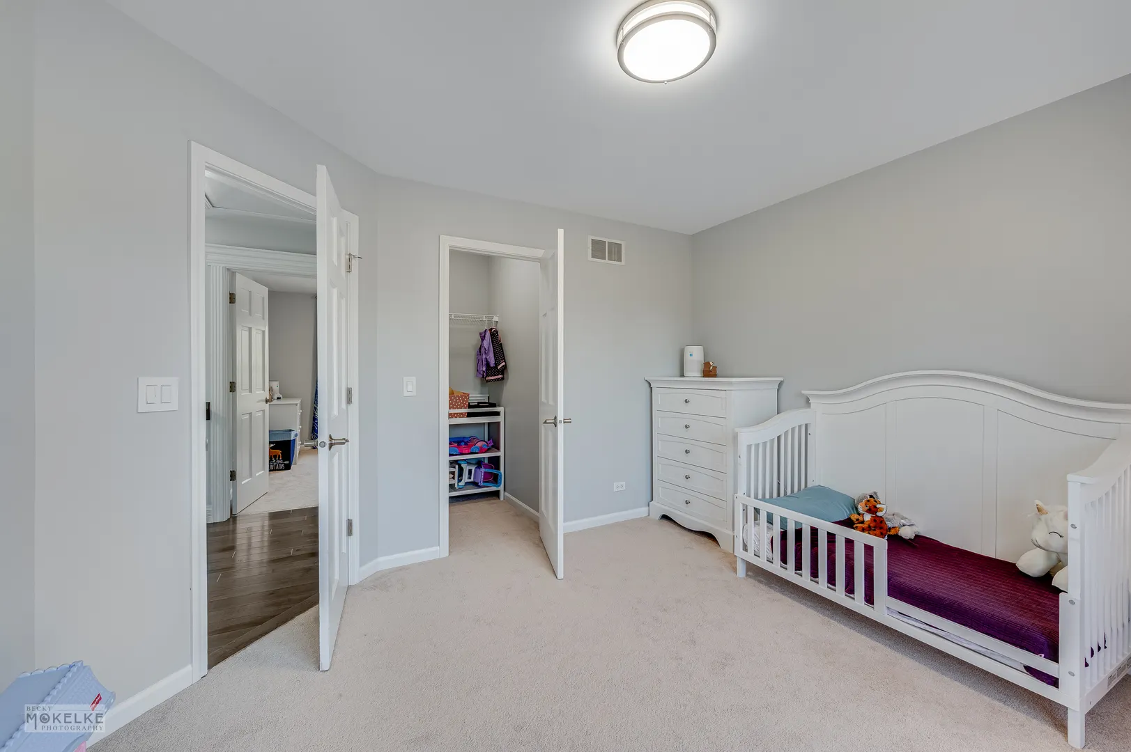 2670 Ginger Woods Drive IL