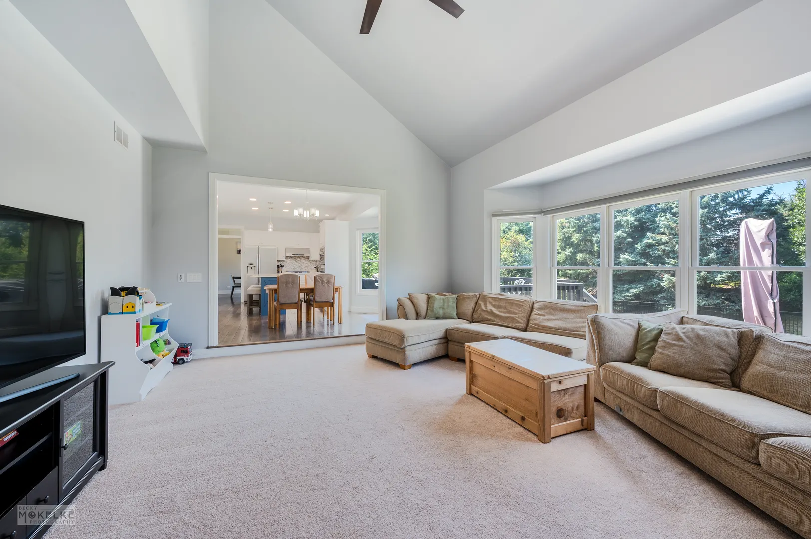 2670 Ginger Woods Drive IL