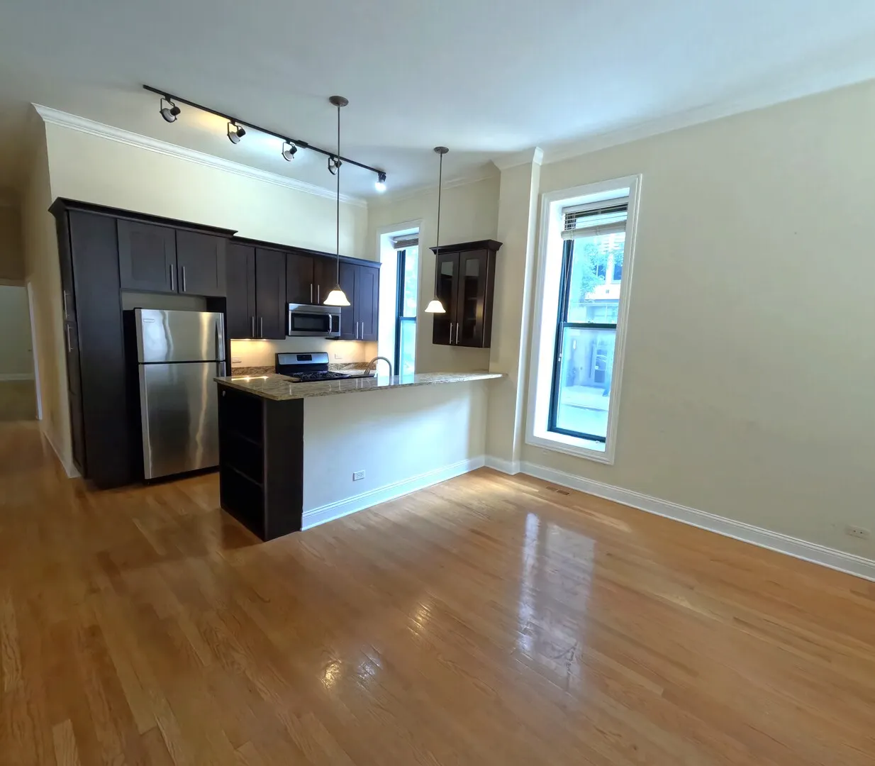 851 N LaSalle Boulevard 1S IL