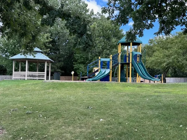 311 Cherrywood Court IL