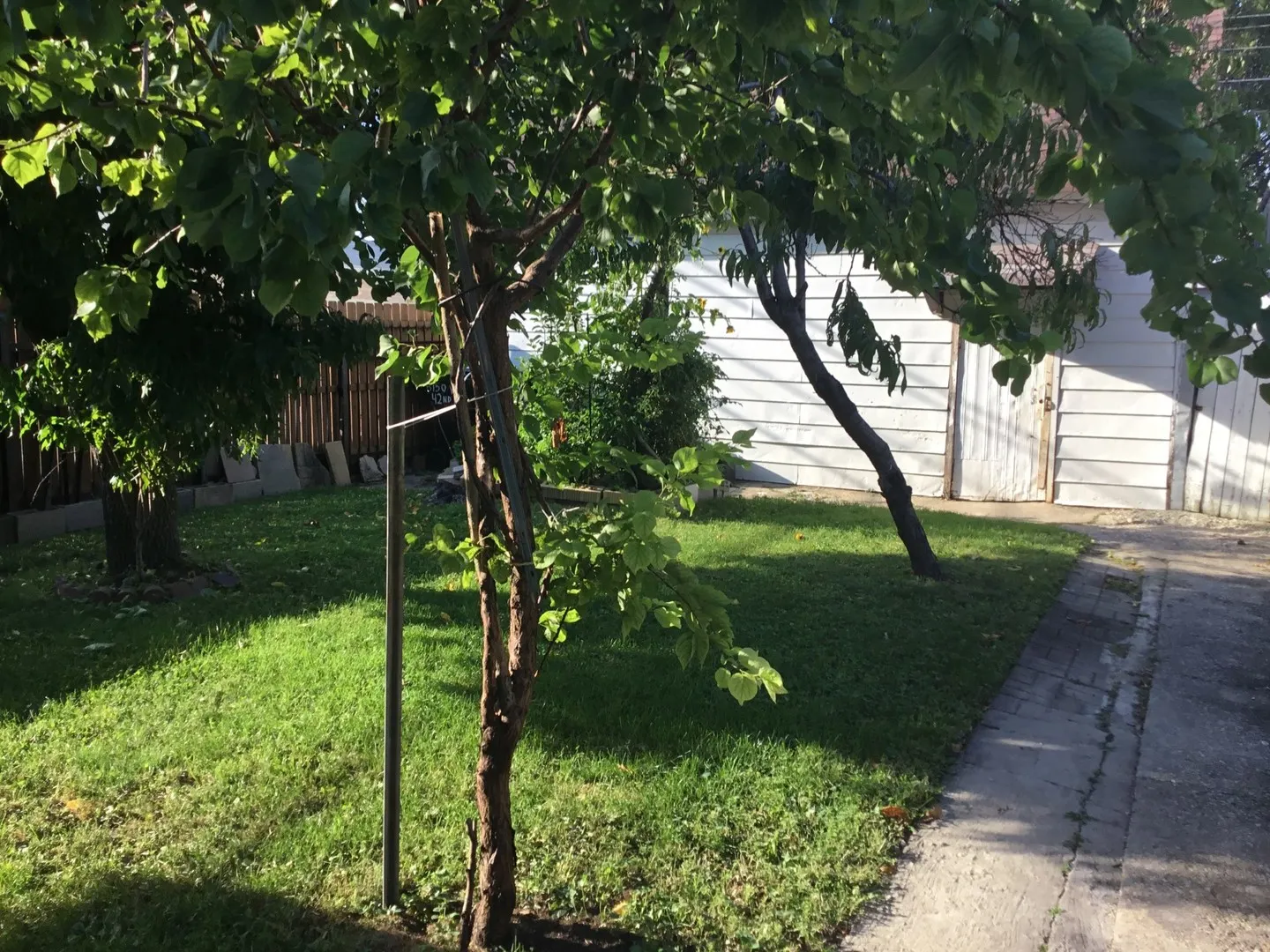 3150 W 42nd Place IL