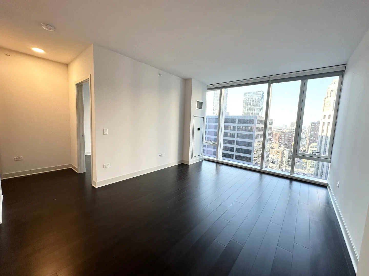 313 W Wolf Point Plaza 1910 IL