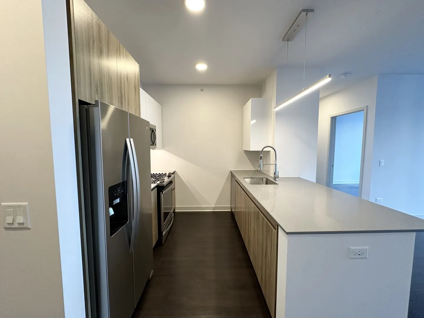 313 W Wolf Point Plaza 1910 IL