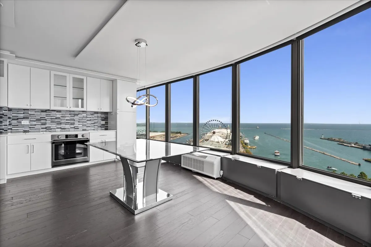 505 N Lake Shore Drive 2010-2011 IL