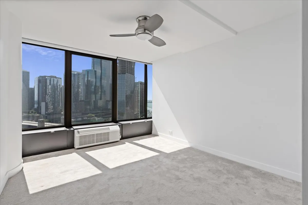 505 N Lake Shore Drive 2010-2011 IL