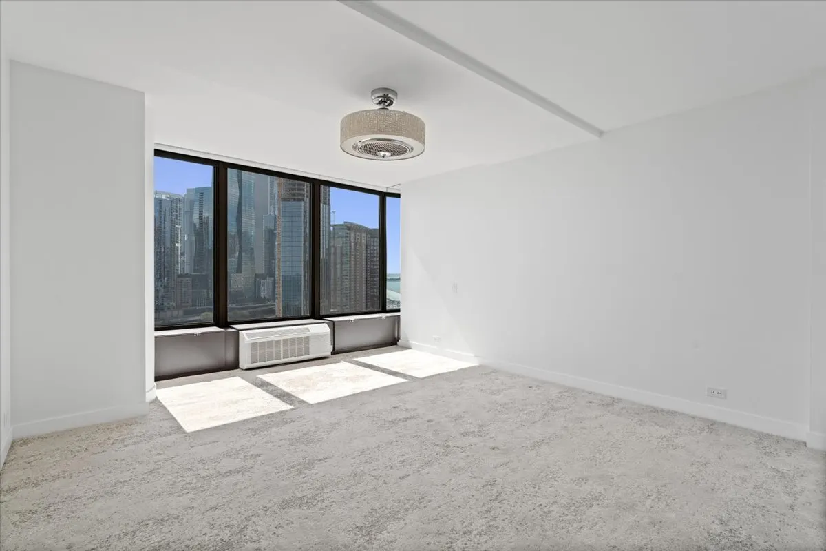 505 N Lake Shore Drive 2010-2011 IL